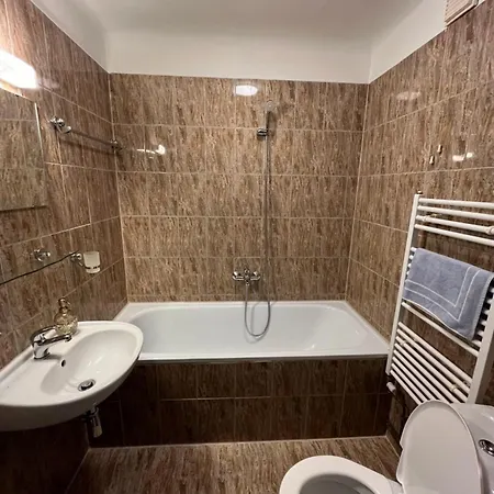 鲁德尼克哈麦克膳食公寓酒店